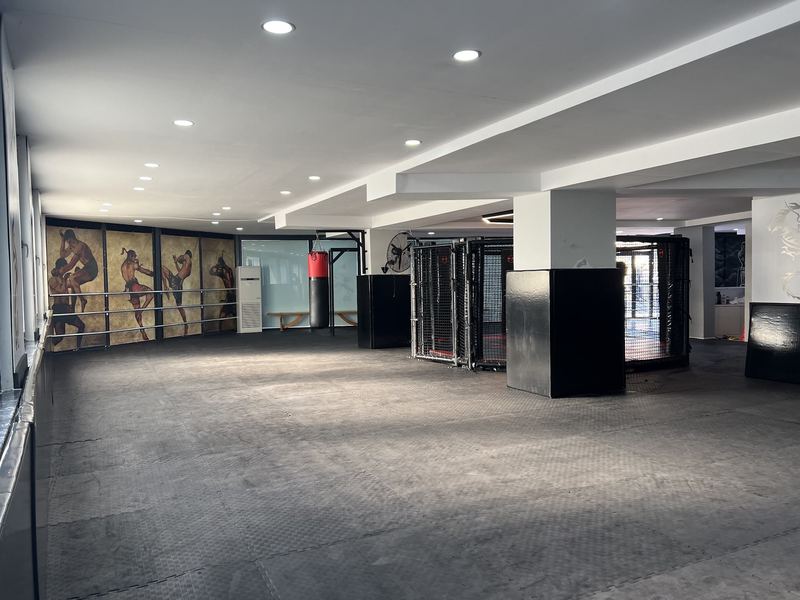 Antrenman salonu genel görünüm, Muay Thai duvar freski ve boks torbaları